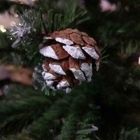 60cm Mini Frosted Norway Tree with 72 Tips and Pine Cones