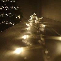 Premier Christmas Mains Operated String Lights Clear Cable - Choice of Colour