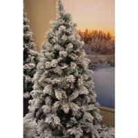 Samuel Alexander 7Ft 210Cm Snowy Vancouver Mixed Pine Artificial Christmas Tree Green 800 Tips