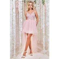 Goddiva Women's High Low Tulle Midi With Lace Bodice in Light Pink | Size: 14