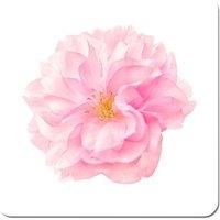 Single Cherry Blossom Coasters - Set of 4