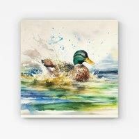 Warren Reed - Designer Splashing Mallard Watercolour Canvas in Brown | Size: w40 inch x h40 inch