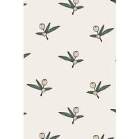 https://www.burton.co.uk/product/bobbi-beck-eco-friendly-olive-pattern-wallpaper_p-b33b4fe3-54aa-44c0-80af-1e310c33c4ba£colour=Beige&size=One%20Size