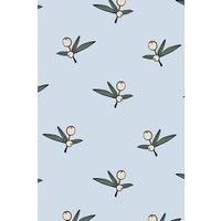 https://www.burton.co.uk/product/bobbi-beck-eco-friendly-olive-pattern-wallpaper_p-b33b4fe3-54aa-44c0-80af-1e310c33c4ba£colour=Blue&size=One%20Size