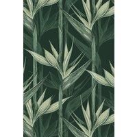 https://www.burton.co.uk/product/bobbi-beck-eco-friendly-tropical-bird-of-paradise-wallpaper_p-df25ba88-97a6-4c16-bc87-e6b471cf8f0b£colour=Green&size=One%20Size