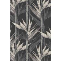 https://www.burton.co.uk/product/bobbi-beck-eco-friendly-tropical-bird-of-paradise-wallpaper_p-df25ba88-97a6-4c16-bc87-e6b471cf8f0b£colour=Grey&size=One%20Size