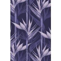 https://www.burton.co.uk/product/bobbi-beck-eco-friendly-tropical-bird-of-paradise-wallpaper_p-df25ba88-97a6-4c16-bc87-e6b471cf8f0b£colour=Purple&size=One%20Size