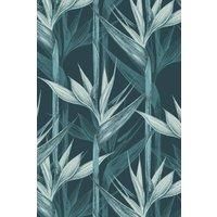 https://www.burton.co.uk/product/bobbi-beck-eco-friendly-tropical-bird-of-paradise-wallpaper_p-df25ba88-97a6-4c16-bc87-e6b471cf8f0b£colour=Teal&size=One%20Size