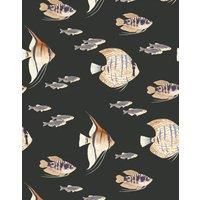 https://www.burton.co.uk/product/bobbi-beck-eco-friendly-tropical-fish-wallpaper_p-28f51f92-86b9-447a-b912-0952fc9a4f4f£colour=Black&size=One%20Size
