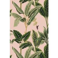 https://www.burton.co.uk/product/bobbi-beck-eco-friendly-vintage-tropical-wallpaper_p-22fd376d-38e5-4023-9d11-b3fee5e45197£colour=Pink&size=One%20Size