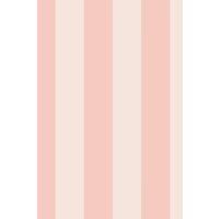 https://www.burton.co.uk/product/bobbi-beck-eco-friendly-wide-stripe-ice-cream-pastel-wallpaper_p-a5bb9f8f-dd43-4e34-8c7e-f1680d014775£colour=Peach&size=One%20Size