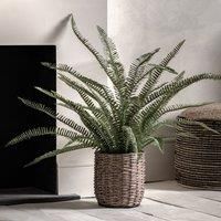 Gallery Potted Fern Plant 980Mm