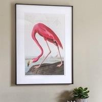 Cedar & Sage Wading Flamingo Framed Print