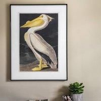Cedar & Sage Pellicano Framed Print