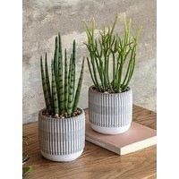 Gallery Direct Small Succulents Ceramic Pots Set Of 2