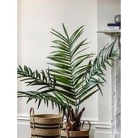 Crossland Grove Potted King Kentia Palm Tree 4ft, Green
