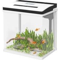 PawHut 13L Glass Aquarium Fish Tank with Filter, LED Lighting, for Betta, Guppy, Mini Parrot Fish, Shrimp, 29 x 20 x 30.5cm