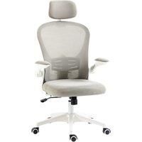 Vinsetto Multi-Adjustable Office Chair, with Lumbar Support, Headrest and Mesh Back - Grey