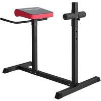 Sportnow Back Extension Roman Chair For Back Abdominal And Gluteal Training