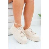 Crystal Charm Storm Trainers