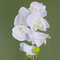 46cm Artificial Orchid White and Gold