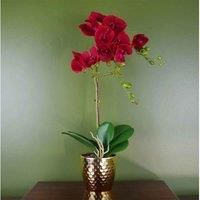 Realistic Artificial Orchid Plants Fully Potted