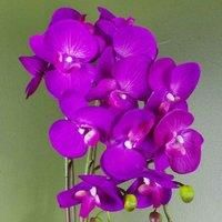 Realistic Artificial Orchid Plants Fully Potted