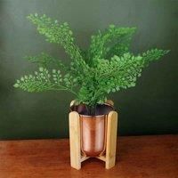Botanik Luxury Ceramic Planters