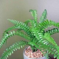 Large Artificial Fern Plant Realistic With Planter & Stand Botanik