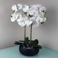 60cm White Orchid in Black Ceramic Planter - Elegant Home Decor Piece