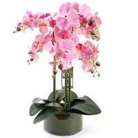 50cm Dark Pink Artificial Orchid in Glass Planter - Home Decor Accent