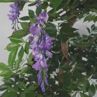 110cm Green Artificial Wisteria Tree - Natural Wood & Plastic Decor
