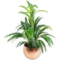 Large Curved Edge Hammered Metal Planter 17Cm Botanik