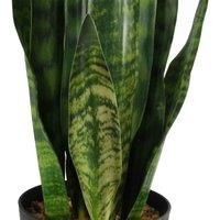 Botanik Artificial Office Plants