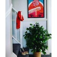 Botanik Artificial Office Plants