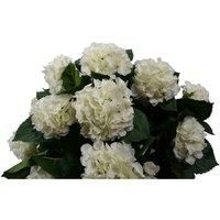 70cm Artificial White Bush Hydrangea Plant Potted