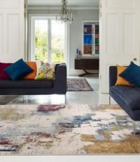 Ruddick Distressed Modern Rug 100% Polypropylene 120x170