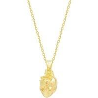 Spero London Women's Sterling Silver Anatomical Heart Necklace in Gold