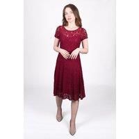 Two-Tone Lace Dress with Flared Skirt