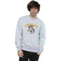 Harry Potter  BI1264  men's Sweatshirt in Grey
