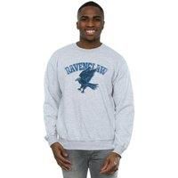Harry Potter  BI1865  men's Sweatshirt in Grey