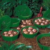 Bulb Basket for Easy Bulb Planting and Lifting Leaving No Stray Bulbs Ideal for any Bulbs 15 x Bulb Baskets by Thompson and Morgan