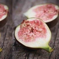 Thompson & Morgan 1 x Fig (ficus) Brown Turkey 3 Litre Pot, Green