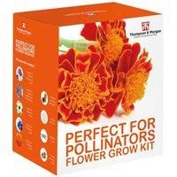 Thompson & Morgan Thompson and Morgan Pollinators flower Growing Kit x 1