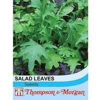 Salad Leaves Speedy Mix Half-Hardy Annual Seeds (500 Seeds) by Thompson and Morgan