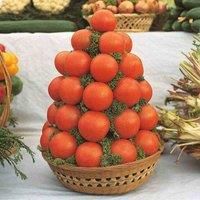Tomato Seeds /'Alicante/' Solanum lycopersicum L. Half-Hardy Annual Fruit/Vegetable Garden Plants 1 Packet 100 Seeds by Thompson and Morgan