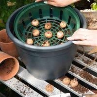 Thompson & Morgan Thompson and Morgan Bulb Planting Baskets - 5 baskets