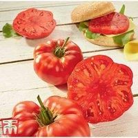 Tomato /'Buffalosteak/' F1 Hybrid Solanum lycopersicum Half-Hardy Annual Easy to Grow Your Own Garden Vegetable Plants 1x Seed Packet (Approx. 4 Seeds) by Thompson and Morgan