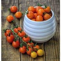 Tomato Honeycomb Garden Plant Half Hardy Annual Flowering Garden Plants Fruit Easy to Grow Your Own 1x Seed Packet by Thompson and Morgan.