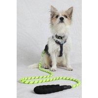https://www.burton.co.uk/product/weird-fish-wilf-reflective-rope-dog-lead_p-7e171368-cc07-41bf-bcf9-6d54c708a0a0£colour=Lime&size=One%20Size